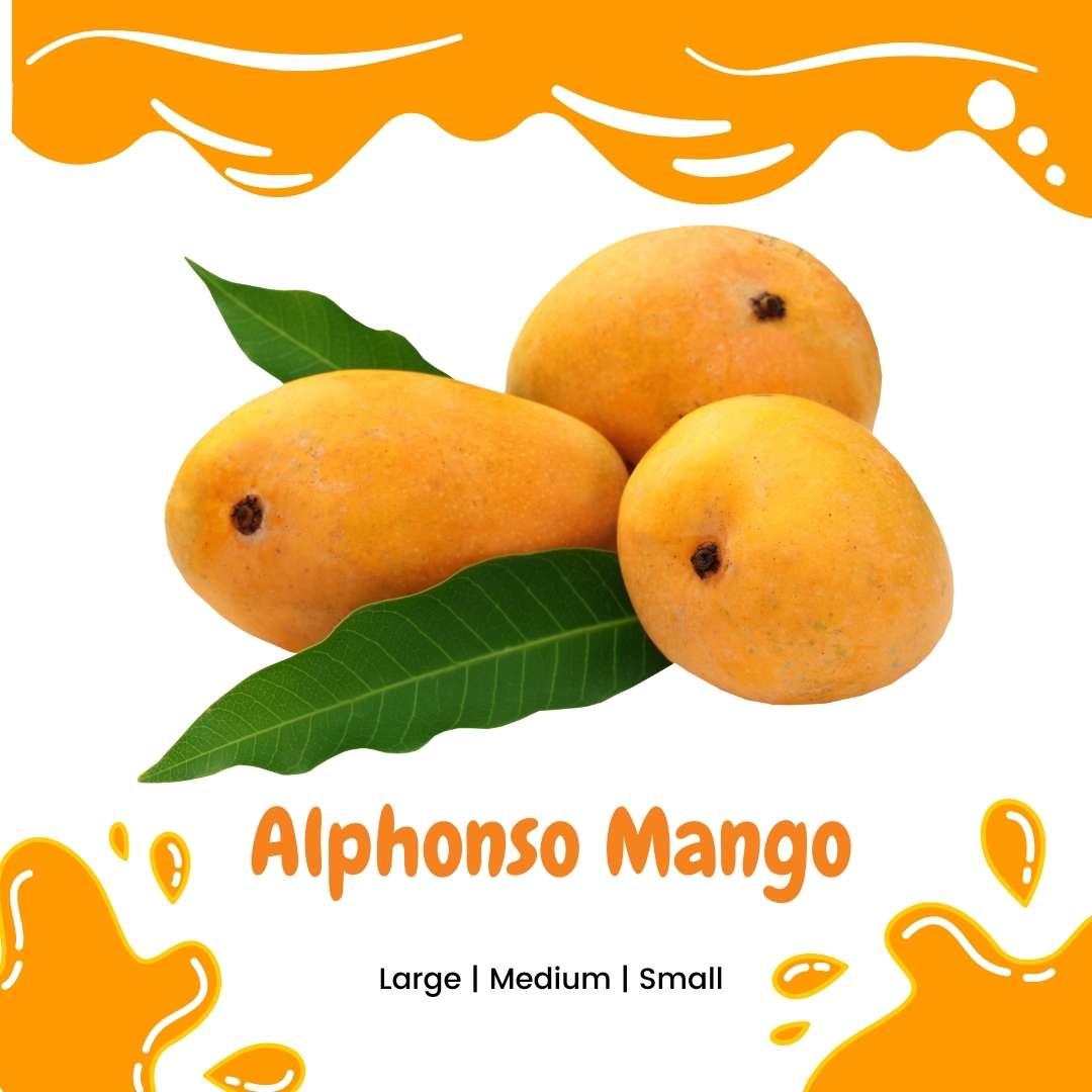 Alphonso Mango Paneerwala